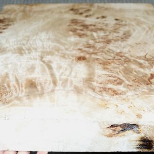 Poplar burl, approx. 445 x 360 x 52mm, 4,0kg