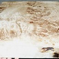 Pappel Maser, ca. 445 x 360 x 52mm, 4,0kg