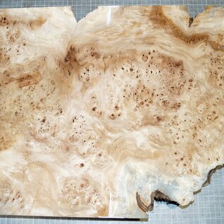 Poplar burl, approx. 640 x 400 x 52mm, 4,1kg