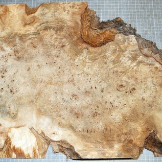 Poplar burl, approx. 640 x 400 x 52mm, 4,1kg