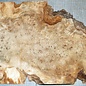 Pappel Maser, ca. 640 x 400 x 52mm, 4,1kg