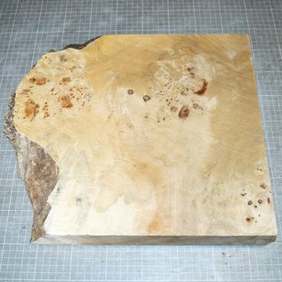 Poplar burl, approx. 390 x 340 x 52mm, 2,7kg