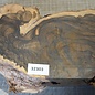 Zirikote, ca. 400 x 55 (170)mm, 3,56kg