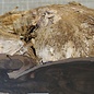 Zirikote, ca. 400 x 55 (170)mm, 3,56kg