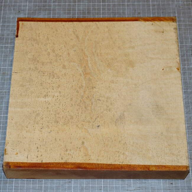 Maple fiddleback, approx. 300 x 300 x 45mm, 2,4kg