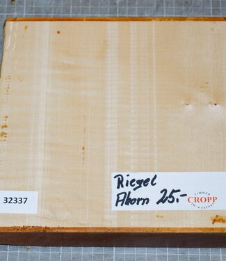 Riegelahorn, ca. 220 x 220 x 49mm, 1,5kg