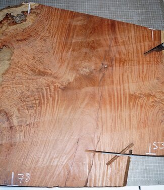 Amboyna burl slab, approx.   780/530 x 920 x 50mm, 29,1kg