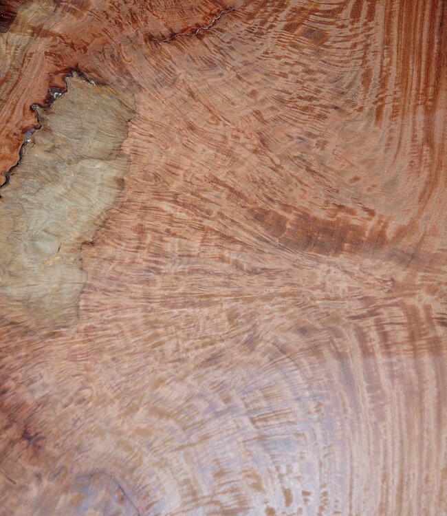 Amboina Maserplatte, ca. 780/530 x 920 x 50mm, 29,1kg