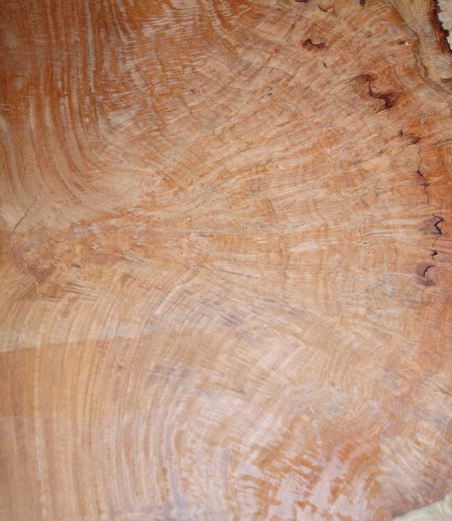 Amboina Maserplatte, ca. 780/530 x 920 x 50mm, 29,1kg