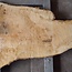 Ash burl, approx. 1550 x 1000/740/460  65 mm, 13364