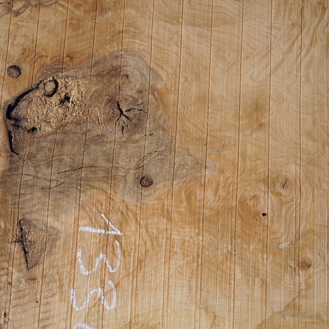 Ash burl, approx. 1550 x 1000/740/460  65 mm, 13364