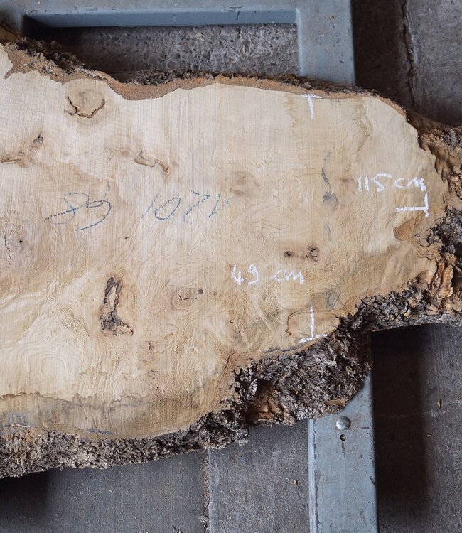 Esche Maser ca. 1550 x 1000/740/460  65 mm, 13364