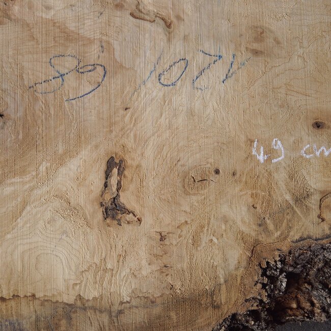 Ash burl, approx. 1550 x 1000/740/460  65 mm, 13364