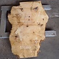 Ash burl, approx. 1300 x 690/890 x 65 mm, 13366