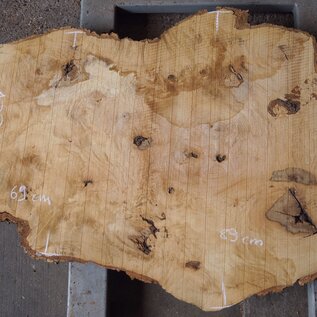 Ash burl, approx. 1300 x 690/890 x 65 mm, 13366