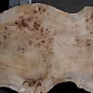 Mappa burl, approx. 1300 x 210/460 x 52mm