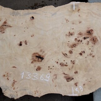 Pappel Maser Tischplatte, ca. 1190 x 390/530 x 50mm