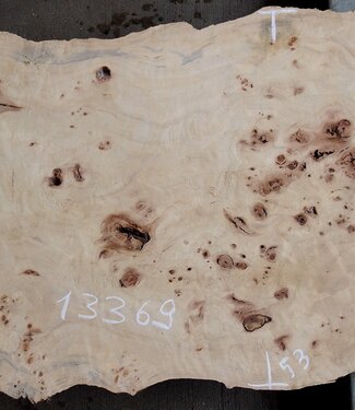 Pappel Maser Tischplatte, ca. 1190 x 390/530 x 50mm