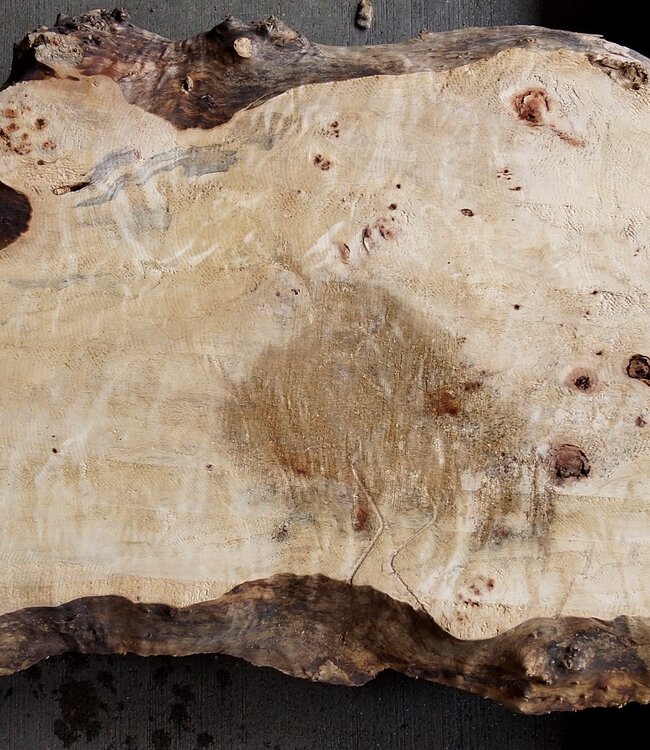Mappa burl, approx. 1190 x 390/530 x 50mm