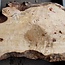 Mappa burl, approx. 1190 x 390/530 x 50mm
