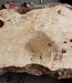Mappa burl, approx. 1190 x 390/530 x 50mm