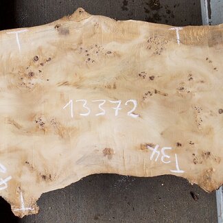 Mappa burl, approx. 1470 x 340/420 x 60mm