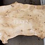 Mappa burl, approx. 1470 x 340/420 x 60mm