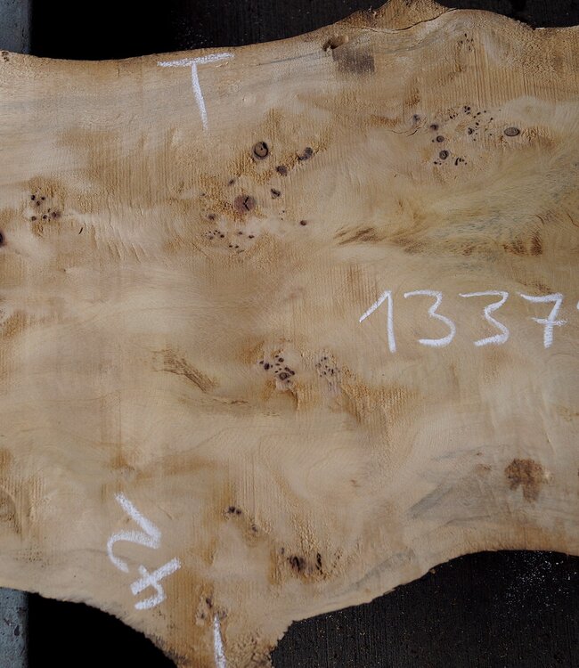 Pappel Maser Tischplatte, ca. 1470 x 340/420 x 60mm