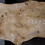 Pappel Maser Tischplatte, ca. 1470 x 340/420 x 60mm