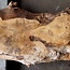Mappa burl, approx. 1470 x 340/420 x 60mm