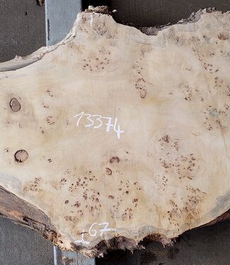 Pappel Maser Tischplatte, ca. 1700 x 290/670 x 60mm