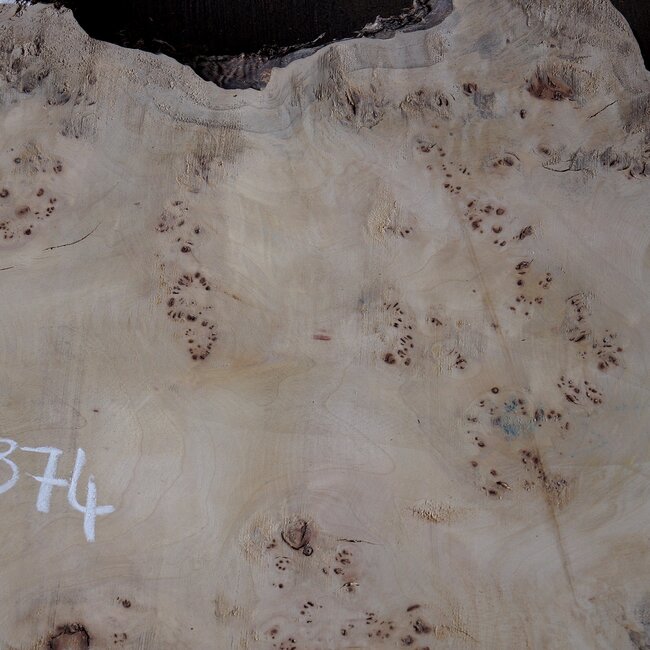 Mappa burl, approx. 1700 x 290/670 x 60mm
