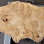 Mappa burl, approx. 1700 x 290/670 x 60mm