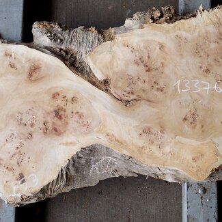 Mappa burl, approx. 1790 x 520/530 x 50mm