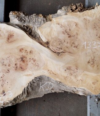 Mappa burl, approx. 1790 x 520/530 x 50mm