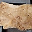 Mappa burl, approx. 1790 x 520/530 x 50mm
