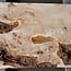 Mappa burl, approx. 1180 x 390/500 x 60mm