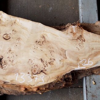 Pappel Maser Tischplatte, ca. 1330 x 260/500 x 60mm