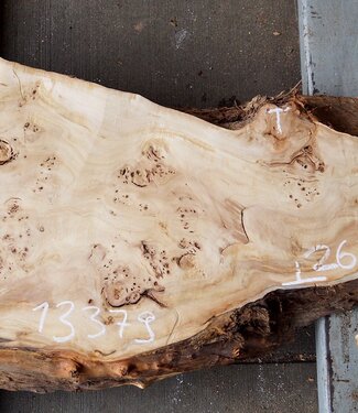 Pappel Maser Tischplatte, ca. 1330 x 260/500 x 60mm