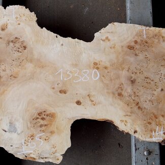 Mappa burl, approx. 1300 x 490/650 x 55mm