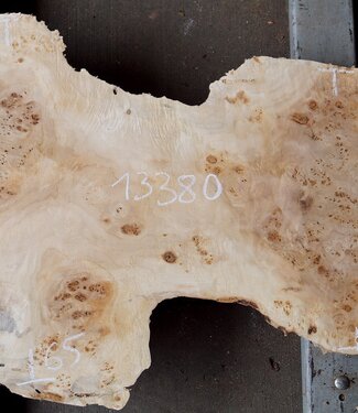 Pappel Maser Tischplatte, ca. 1300 x 490/650 x 55mm