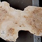Mappa burl, approx. 1300 x 490/650 x 55mm