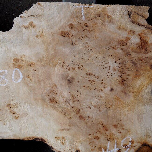 Pappel Maser Tischplatte, ca. 1300 x 490/650 x 55mm