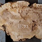 Pappel Maser Tischplatte, ca. 990 x 360/630 x 52mm