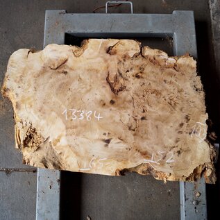 Mappa burl, approx. 1030 x 520/650 x 55mm