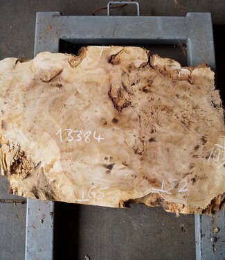 Pappel Maser Tischplatte, ca. 1030 x 520/650 x 55mm