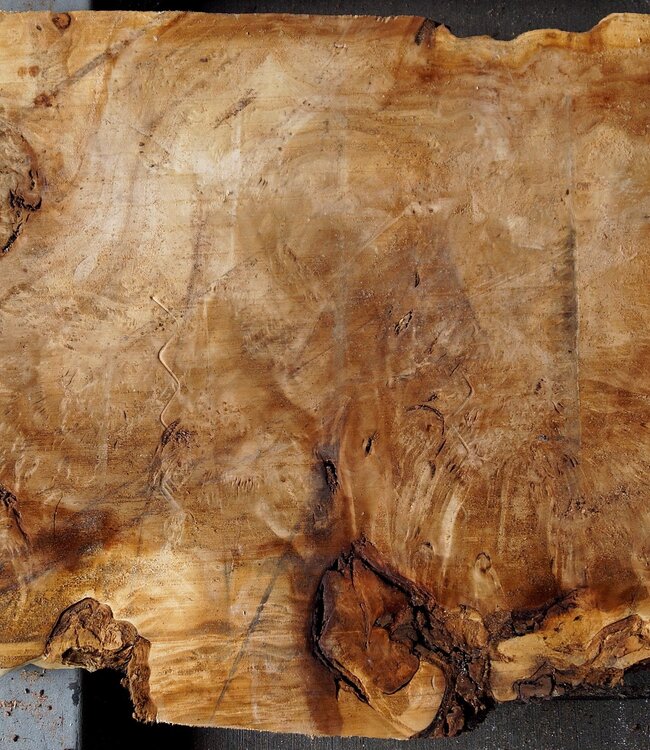 Pappel Maser Tischplatte, ca. 1030 x 520/650 x 55mm