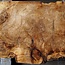 Pappel Maser Tischplatte, ca. 1030 x 520/650 x 55mm