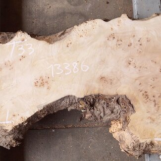 Pappel Maser Tischplatte, ca. 1700 x 330/540 x 52mm