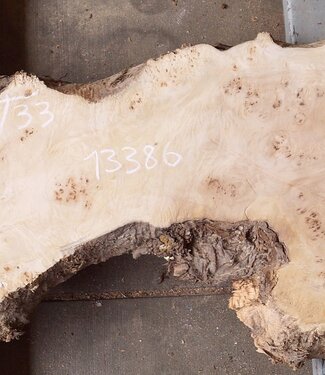 Mappa burl, approx. 1700 x 330/540 x 52mm